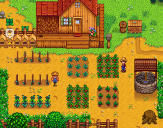 A farmer looks over their carefully placed crops in Stardew Valley.