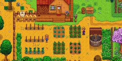 A farmer looks over their carefully placed crops in Stardew Valley.