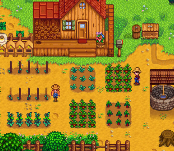 A farmer looks over their carefully placed crops in Stardew Valley.